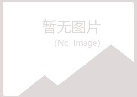 温岭夏岚咨询有限公司